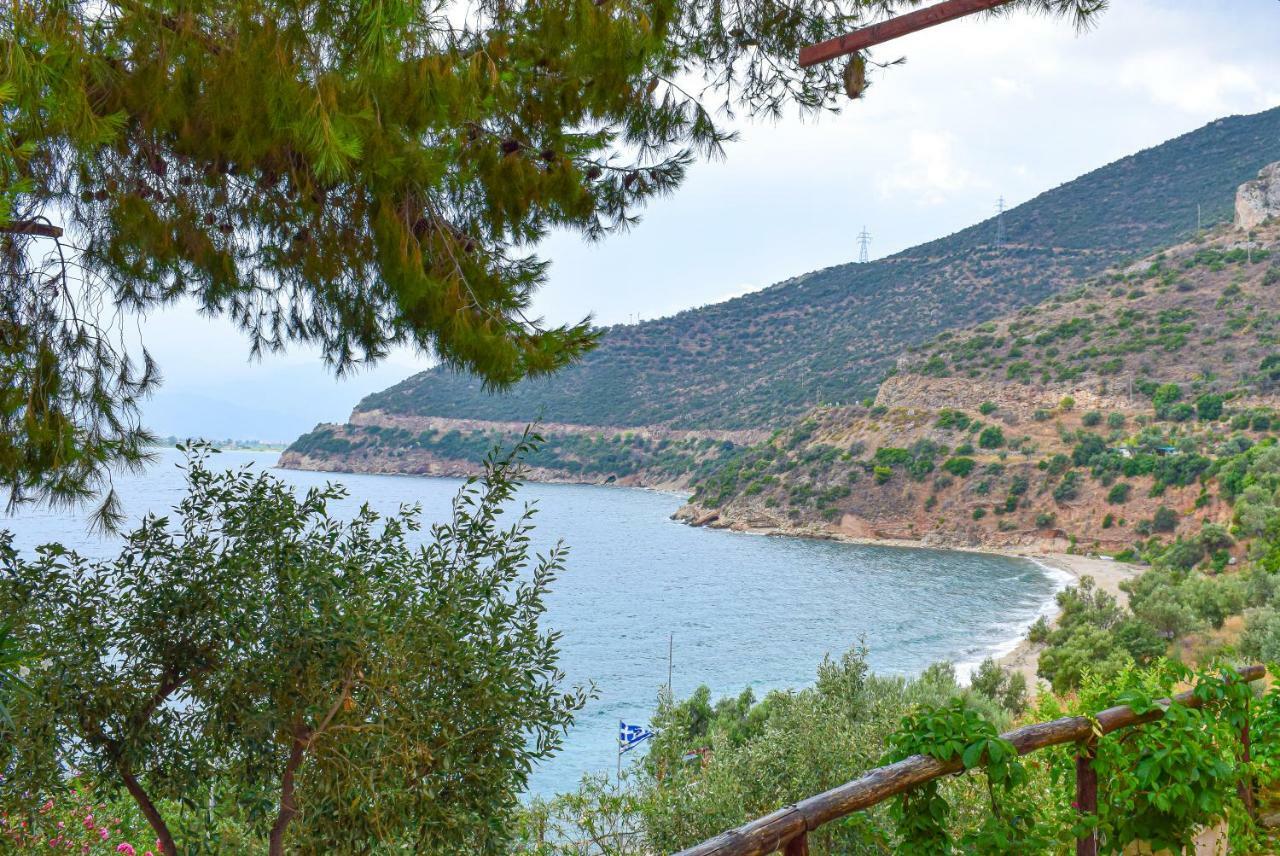 Muses Seaside Villas Parálion Ástros Εξωτερικό φωτογραφία